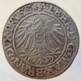 Niemcy Prusy Książęce Grosz 1535