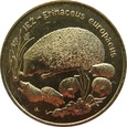 Polska 2 Złote Jeż 1996