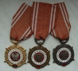 Polska - 3 x medal Siły Zbrojne w Służbie Ojczyzny V X XX