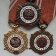 Polska - 3 x medal Siły Zbrojne w Służbie Ojczyzny V X XX