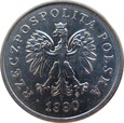 zdjęcie główne