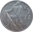 zdjęcie główne