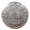 Polska Zygmunt I Stary Grosz 1534 GDAŃSK