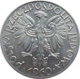 zdjęcie główne