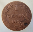 Polska 1 Grosz 1837 MW