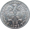 zdjęcie główne