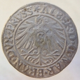 Niemcy Prusy Książęce Grosz 1538