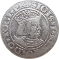 Polska Zygmunt I Stary Grosz 1531 GDAŃSK