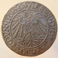 Niemcy Prusy Książęce Grosz 1539