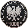 Polska / PRL 1000 Złotych Wiewiórka 1985 próba