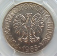 Polska / PRL 10 Złotych 1966 Kościuszko PCGS MS65