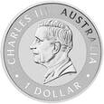 AUSTRALIJSKI KANGUR 2025 ROK 1 UNCJA SREBRA X 25 SZTUK - TUBA MENNICZA