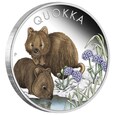 Quokka kolorowana 1 uncja Srebra 2023 Proof 