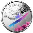 St. Kitts & Nevis: Underwater Surfer kolorowany 1 oz Ag 2022 Proof