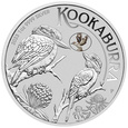 Kookaburra with Kookaburra kolorowany 1 uncja Srebra 2023 Privy Mark