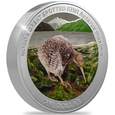 Kiwi kolorowany 1 uncja Srebra 2024 Proof 