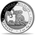 African Wildlife Słoń Somalijski 1 oz Srebra 2024 Proof Ultra High