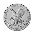 1 dollar Amerykański Orzeł 2023