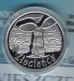 40 Złocieńcy , Złocieniec 2008