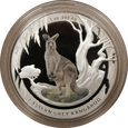 Nr 9252 - Zestaw Kangury - 20 złotych 1 dolar 2013 Polska/Australia