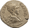Nr 9326 Cesarstwo Rzymskie - denar - Geta RIC18