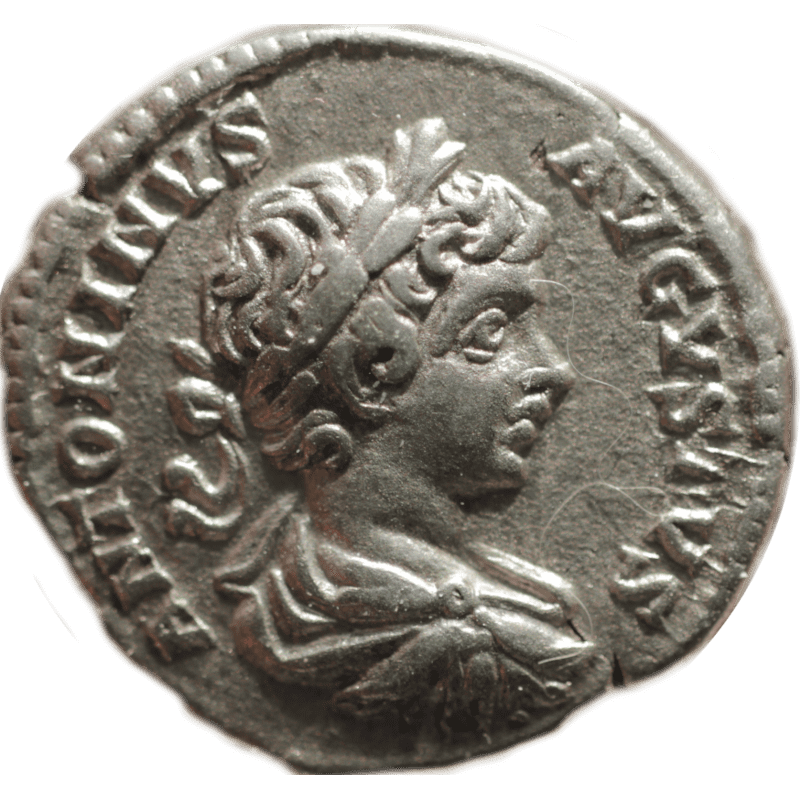 Nr 10501 Rzym denar Karakalla 199 RIC 47