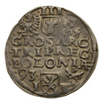 Trojak 1593 r. (Poznań) - Zygmunt III Waza