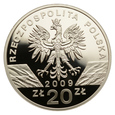 20 złotych 2009 r. - Zwierzęta świata - Jaszczurka