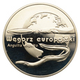 20 złotych 2003 r. - Zwierzęta świata - Węgorz