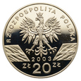 20 złotych 2003 r. - Zwierzęta świata - Węgorz