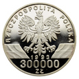 300000 złotych 1993 r. - Zwierzęta świata - Jaskółki