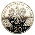 20 złotych 2001 r. - Motyl - Paź Królowej