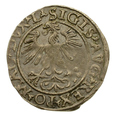 Półgrosz litewski 1560 r. - Zygmunt August