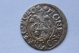 PÓŁTORAK ZYGMUNT III WAZA 1623 R. - SP287