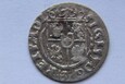 PÓŁTORAK ZYGMUNT III WAZA 1623 R. - SP287