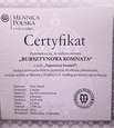 Niue 2 dolary 2012 rok Bursztynowa komnata  S819