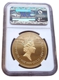 Niue Island 100 $ 2014 - Żółw Morski - NGC PF 70 ULTRA CAMEO