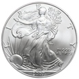 1 oz 2007 USA dolar Liberty Silver Eagle, uncja 999 AG
