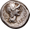 Republika Rzymska, M. Cipius M. f., denar 115-114 p.n.e, Rzym