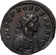 Cesarstwo Rzymskie, Probus 276-282, antoninian, Ticinum