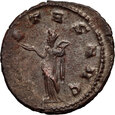 Cesarstwo Rzymskie, Salonina 255-268, antoninian, Viminacjum