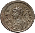 Cesarstwo Rzymskie, Probus 276-282, antoninian, Rzym