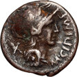 Republika Rzymska, M. Cipius M. f., denar 115-114 p.n.e, Rzym