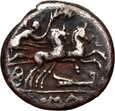 Republika Rzymska, M. Cipius M. f., denar 115-114 p.n.e, Rzym