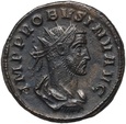 Cesarstwo Rzymskie, Probus 276-282, antoninian, Siscia