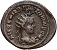 #A# Cesarstwo Rzymskie, Walerian II 256-258, antoninian, Rzym