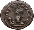 #A# Cesarstwo Rzymskie, Walerian II 256-258, antoninian, Rzym