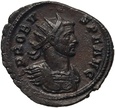 Cesarstwo Rzymskie, Probus 276-282, antoninian, Rzym