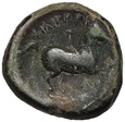 Grecja, Macedonia, Filip II 359-336, brąz