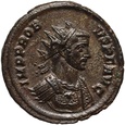 Cesarstwo Rzymskie, Probus 276-282, antoninian, Rzym